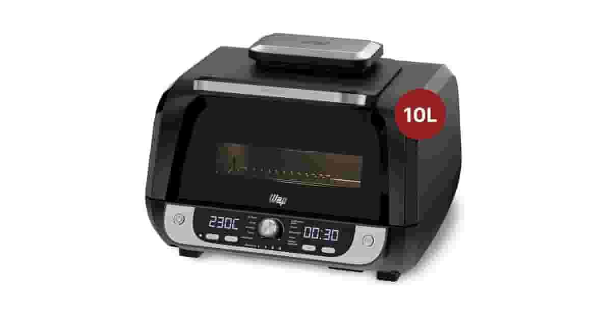 Melhor Air Fryer para Churrasco: 7 Modelos com Espeto Giratório