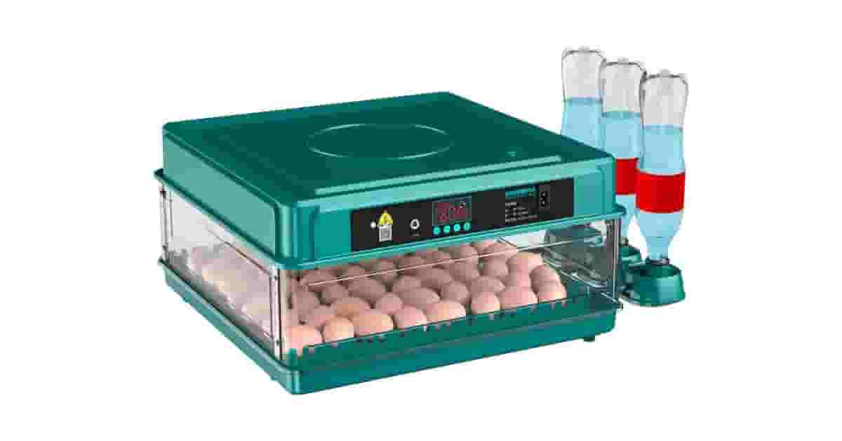 Melhor Chocadeira do Brasil: 5 Modelos Para Incubação Perfeita