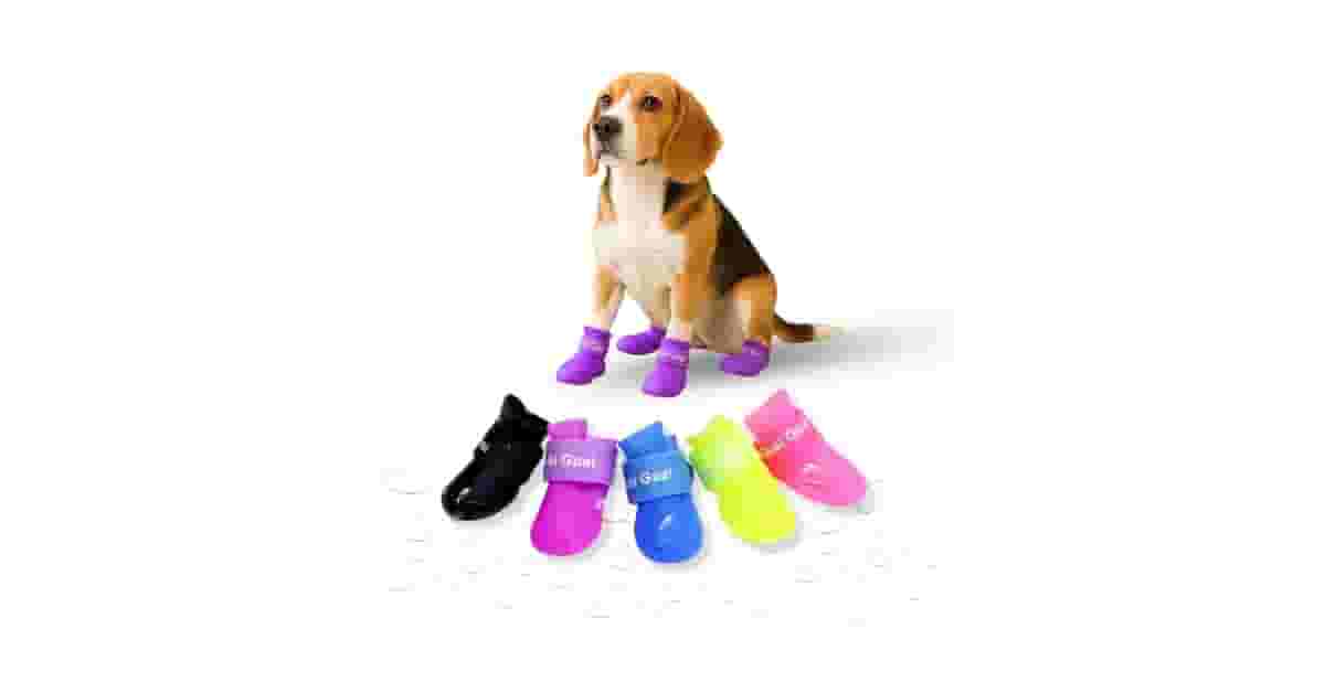 Melhor Sapatinho para Cachorro: Proteção e Conforto