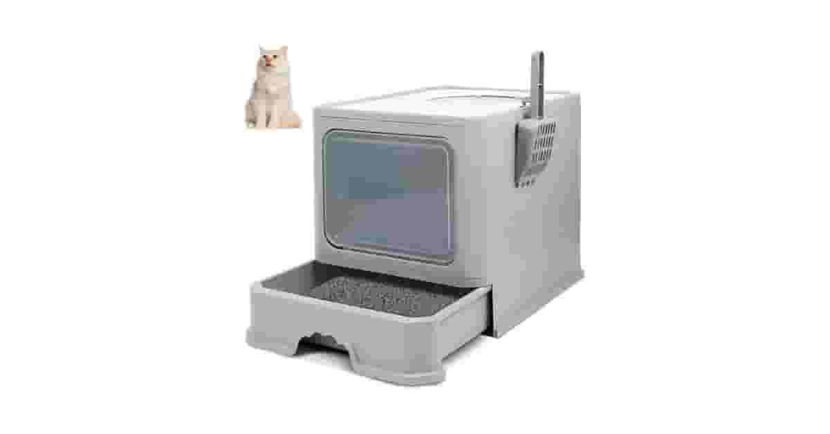 Qual é a Melhor Caixa de Areia para Gatos Que Não Gostam de Porta? 10 Modelos Aprovados