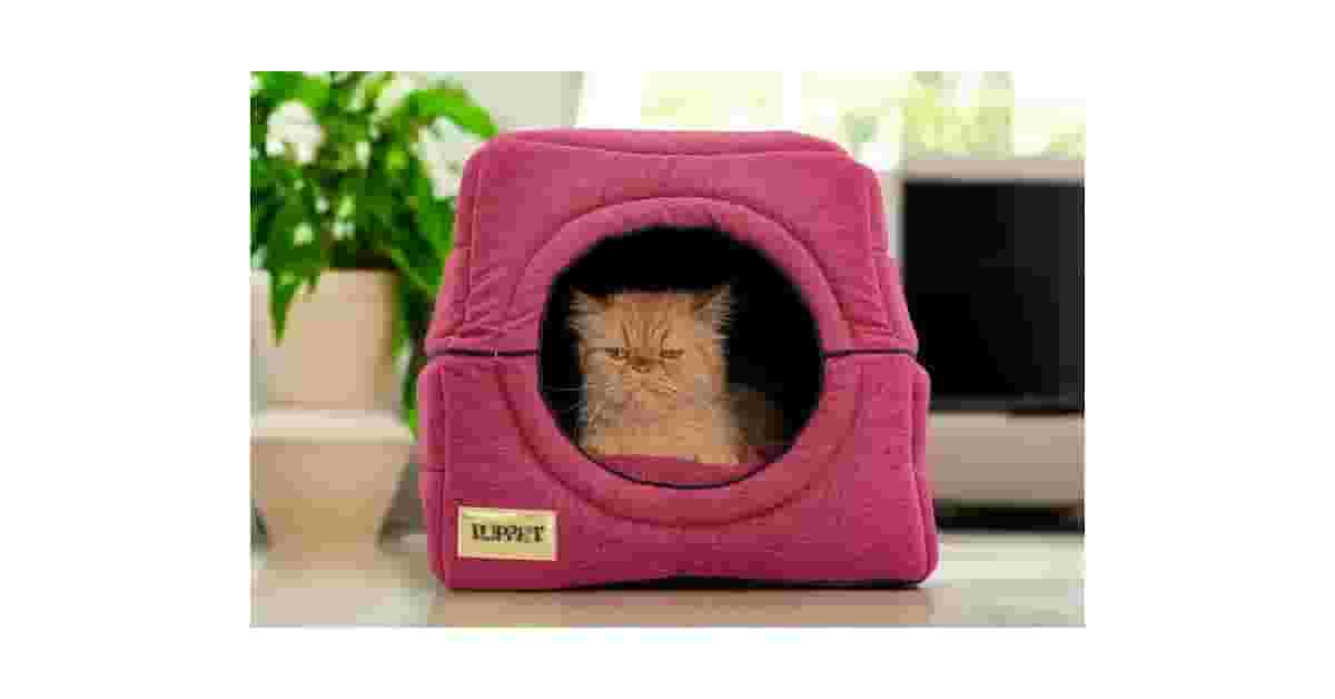 Qual é a Melhor Cama para Gatos que Gostam de Se Esconder? Guia de Tocas Seguras