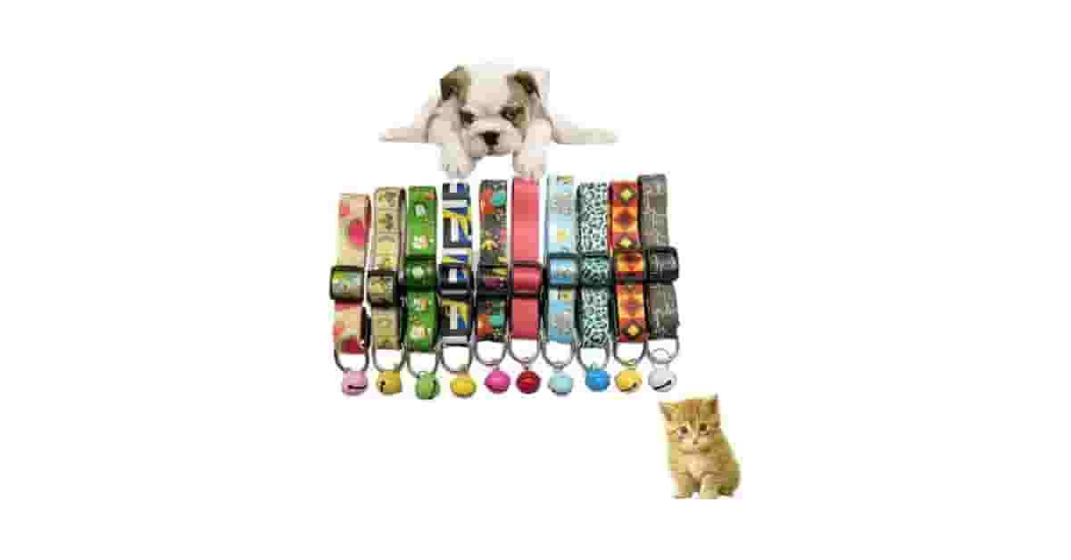 Qual é a Melhor Coleira Para Cachorro Com Estampa Divertida? 7 Opções de Estilo