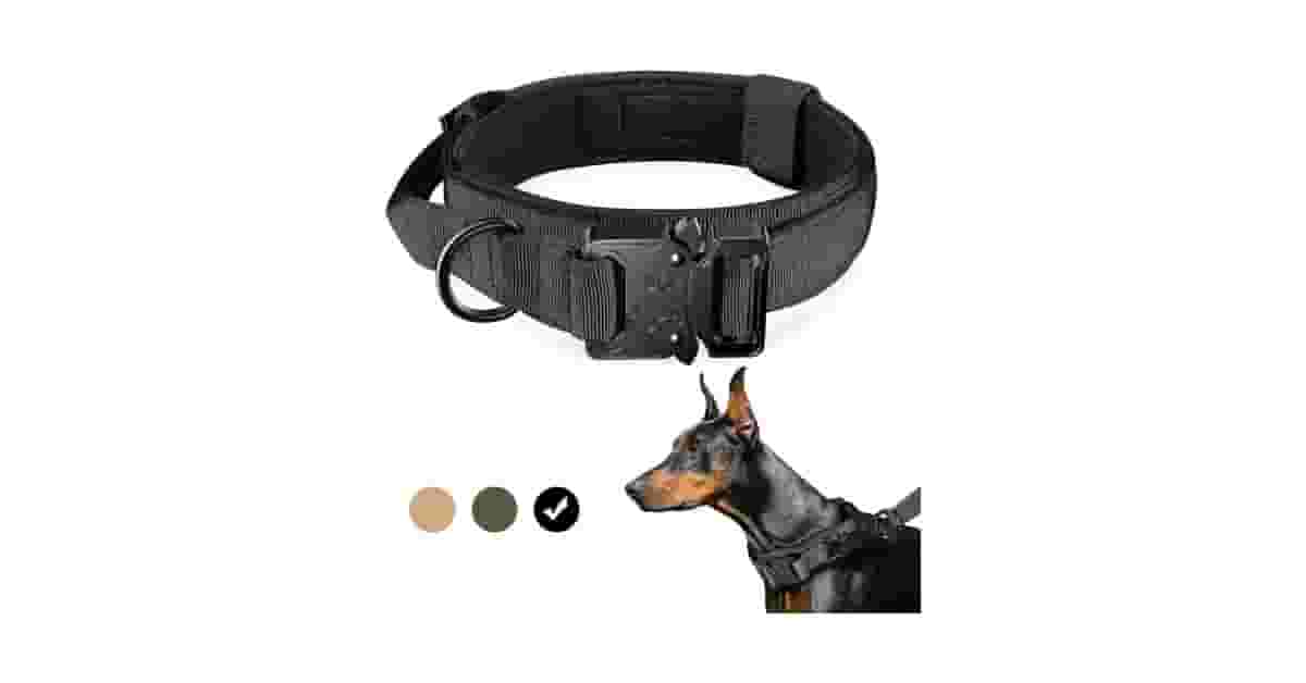 Qual É a Melhor Coleira para Cachorro com Fivela de Metal?