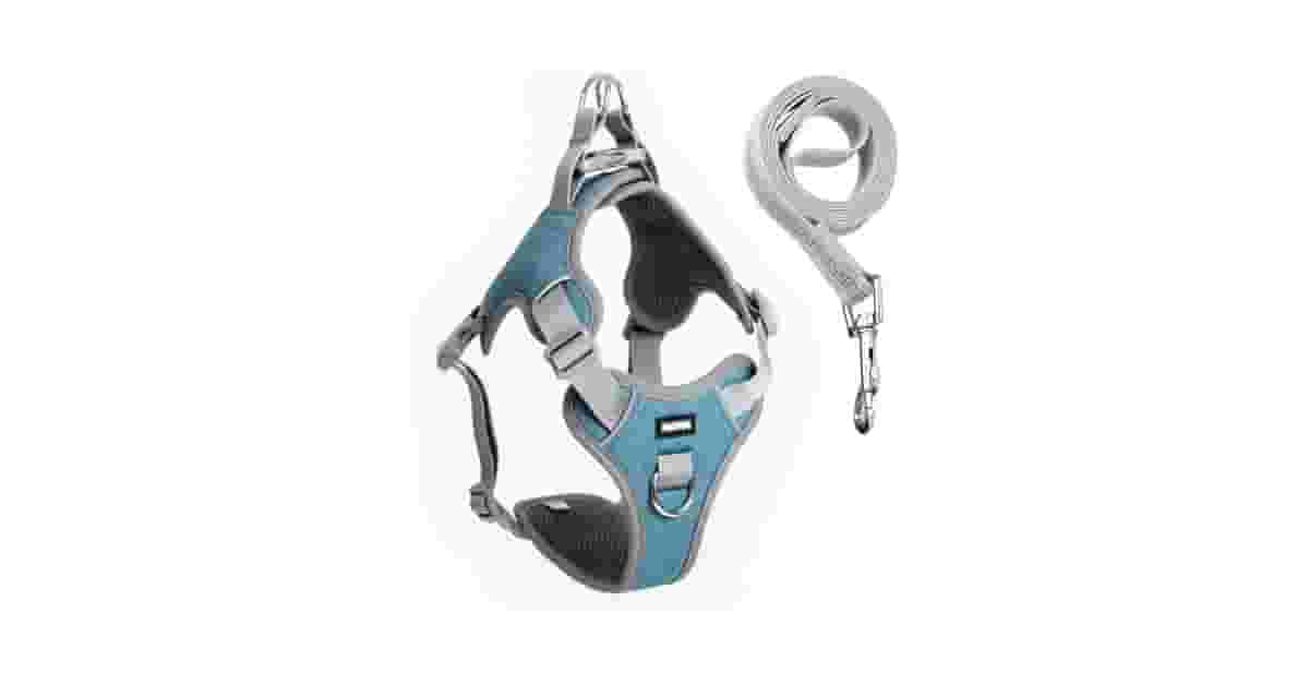 Qual É a Melhor Coleira Para Cachorro Com Guia e Peitoral Acolchoado? Nosso Top 10 Para Conforto Total