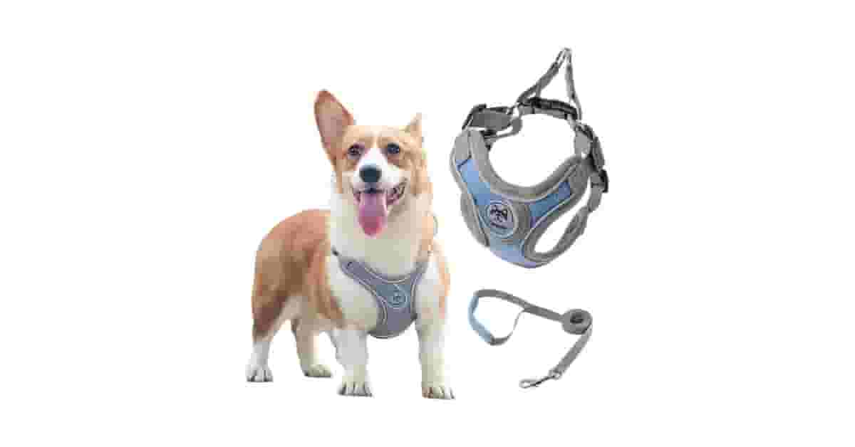 Qual é a Melhor Coleira Para Cachorro com Guia e Peitoral Ajustável? Guia de Compra