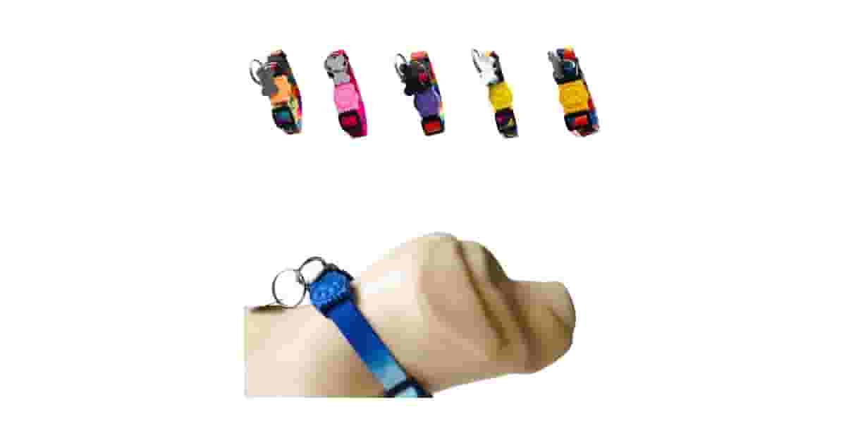 Qual É a Melhor Coleira Para Cachorro Com Pingente de Identificação? Nosso Top 9