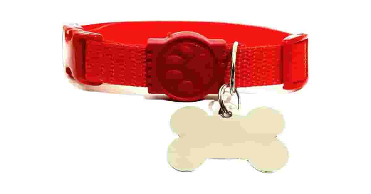 Qual É a Melhor Coleira Para Cachorro Com Placa de Identificação? Nosso Top 10