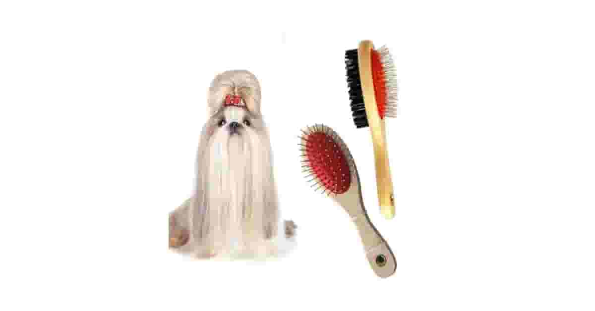 Qual É a Melhor Escova Para Cães de Pelo Longo e Grosso e Subpelo?