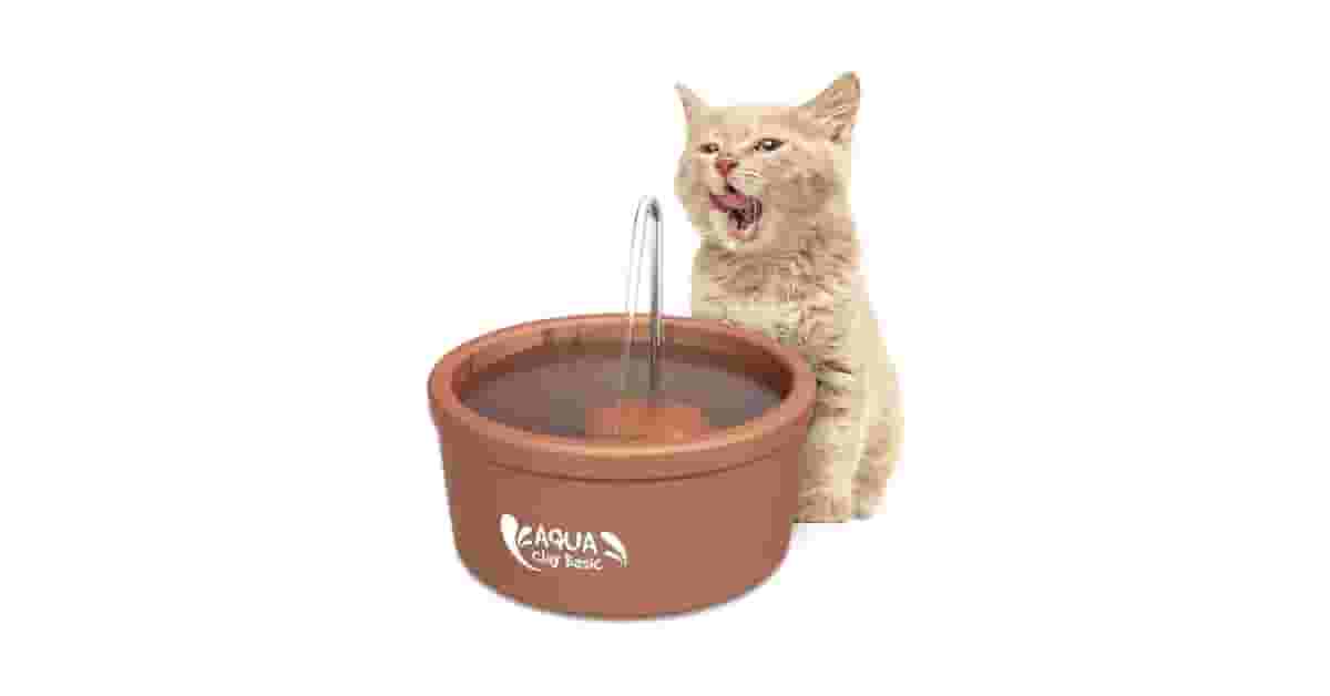 Qual É a Melhor Fonte de Água Para Gatos de Cerâmica? Análise de 10 Opções