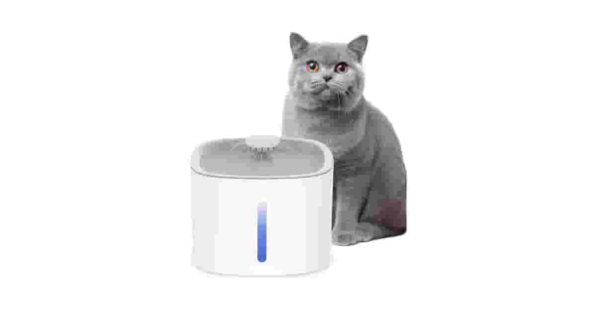 Qual é a Melhor Fonte para Gatos com Reservatório Grande? Analisamos 8 Opções