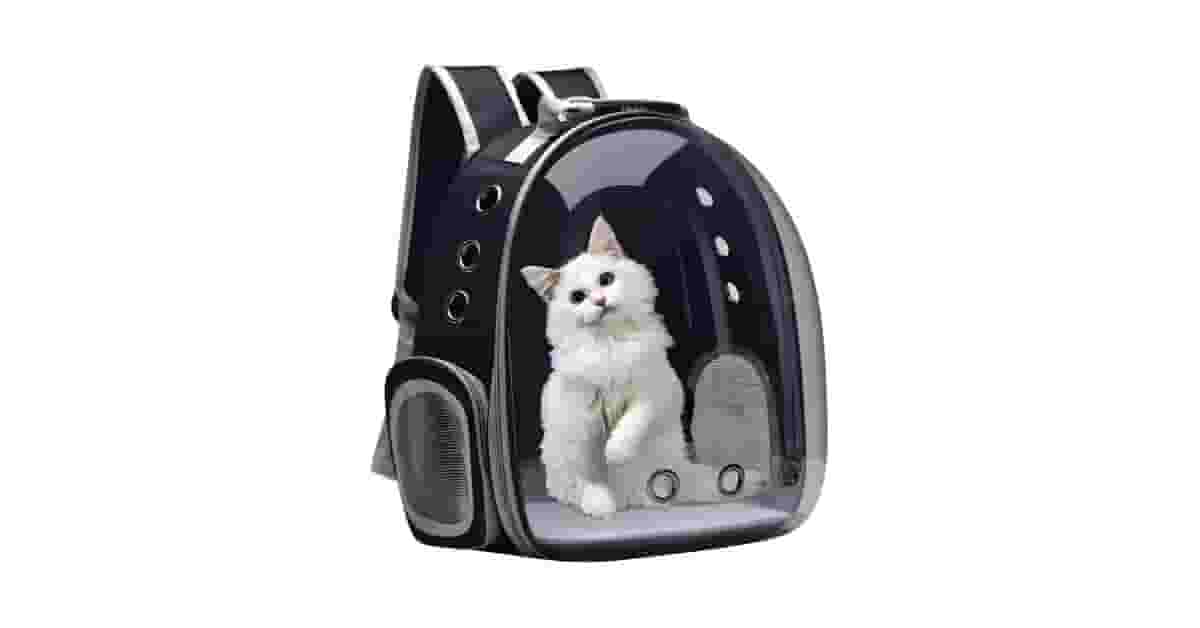 Qual é a Melhor Mochila Transparente para Gato? As 8 Mais Seguras