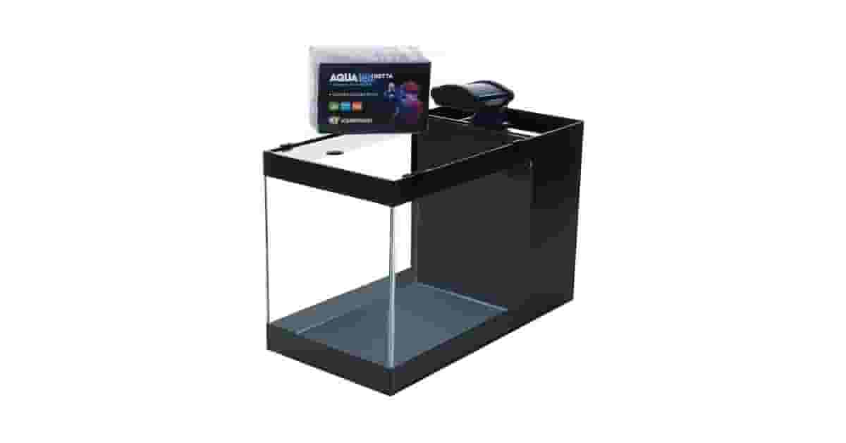 Qual é o Melhor Aquario? Do Betta ao Comunitário