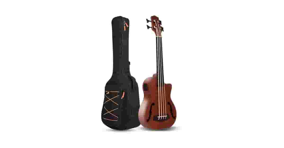 Qual é o Melhor Baixo Sem Trastes (Fretless)? O U-Bass