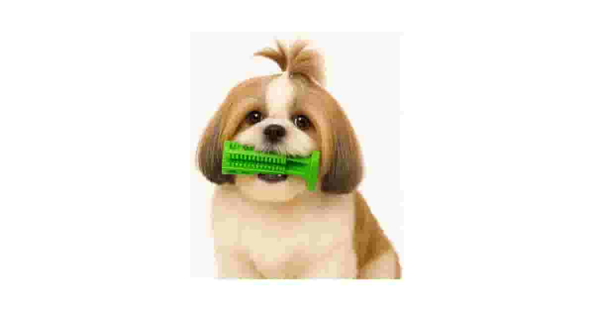 Qual É o Melhor Brinquedo Para Cães Que Ajuda a Limpar os Dentes? Top 10