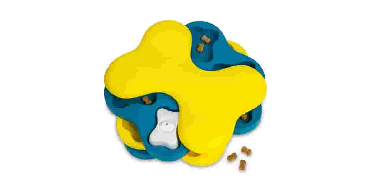 Qual É o Melhor Brinquedo para Cães que Ficam Entediados: 10 Opções