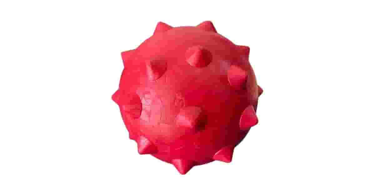 Qual é o Melhor Brinquedo para Cães que Gostam de Buscar? Análise de 8 Opções