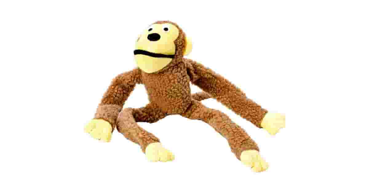 Qual é o Melhor Brinquedo para Cães que Gostam de Caçar para Enriquecimento Mental