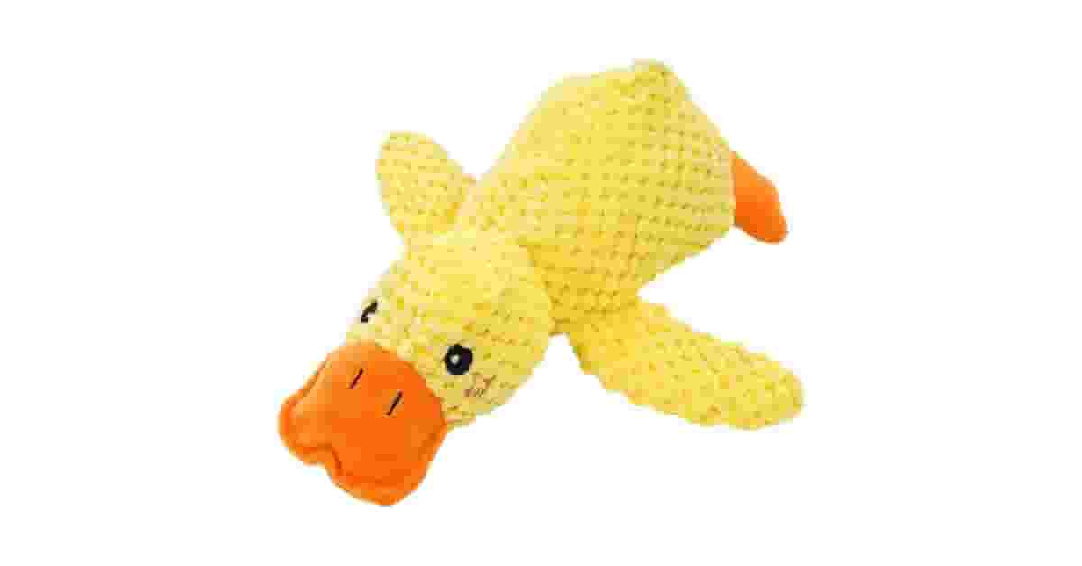 Qual É o Melhor Brinquedo Para Cães Que Gostam de Som? Análise de 9 Tipos