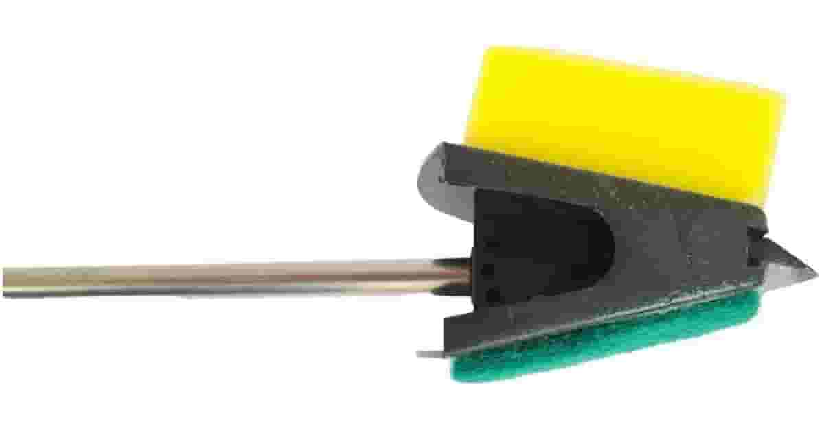 Qual é o Melhor Camarão Limpador para Aquário? Top!