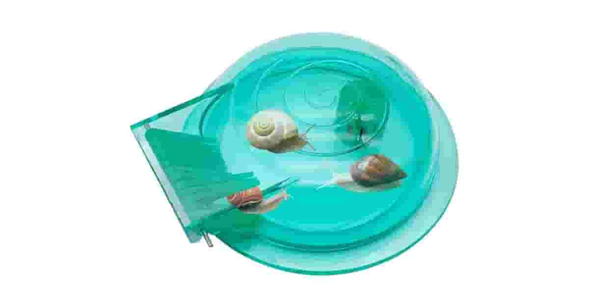 Qual É o Melhor Caracol Para Limpeza de Aquário: 10 Ferramentas