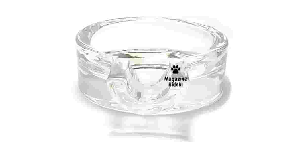 Qual é o Melhor Cinzeiro de Charuto? Guia de Materiais