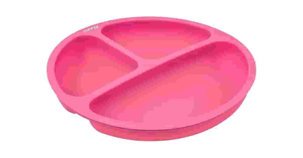 Qual é o Melhor Prato de Silicone com Divisórias?