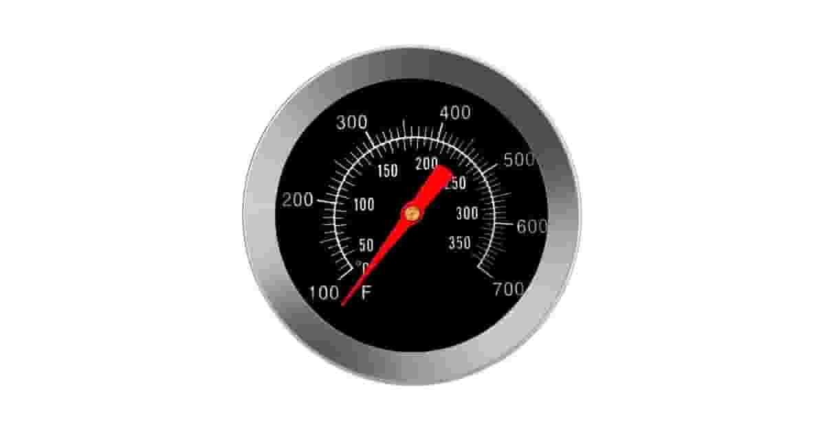 Qual é o Melhor Termômetro para Churrasqueira? Guia