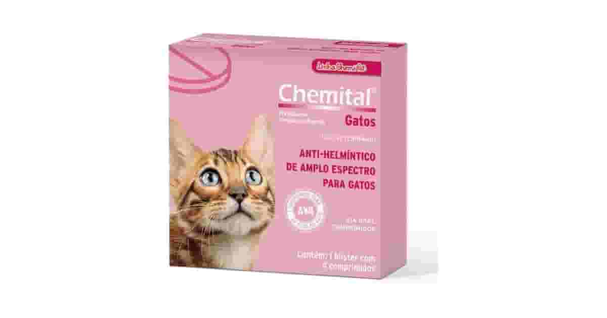 Qual é o Melhor Vermifugo Para Gato? Pipeta ou Comprimido