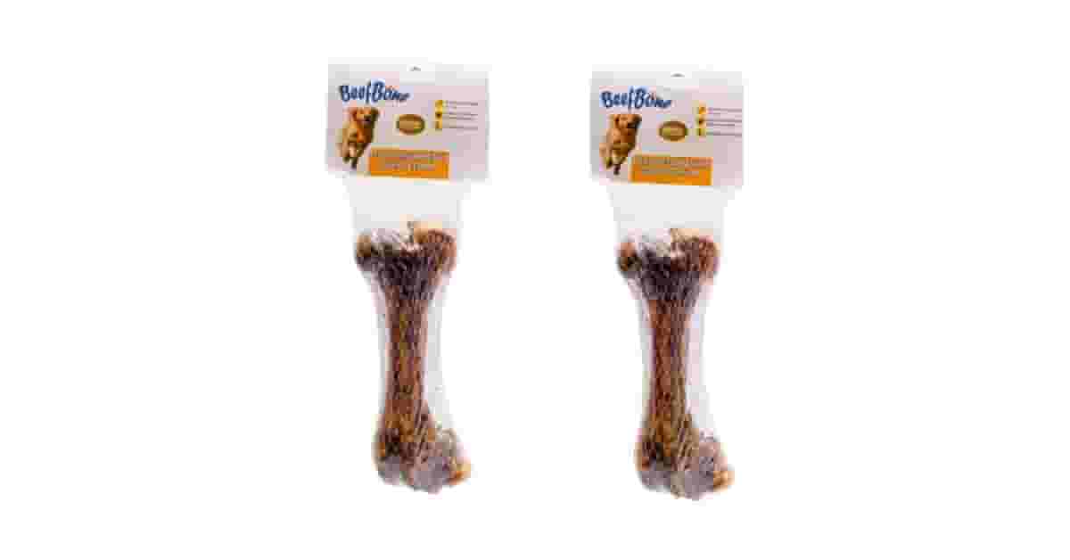 Qual o Melhor Osso para dar para Cachorro: Guia Completo