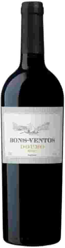 Vinho Bons Ventos Douro Tinto 750ml
