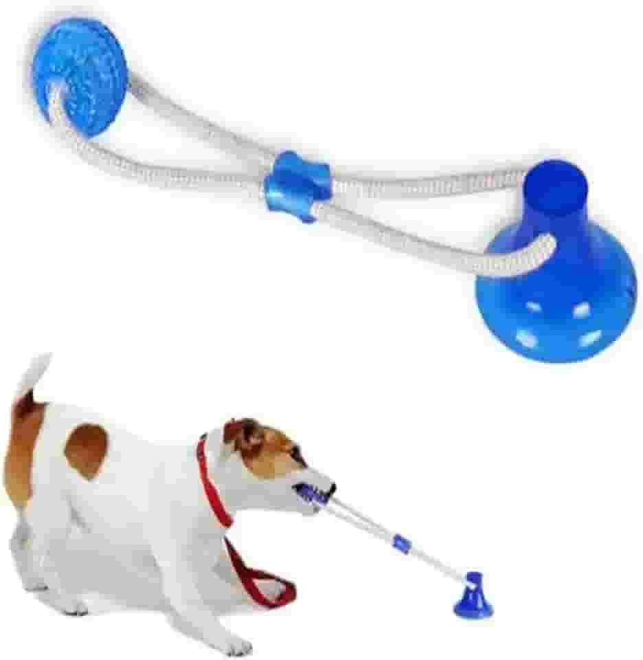 Brinquedo Interativo Para Cachorros Gruda No Chão Ventosa Puxar Morder Pets