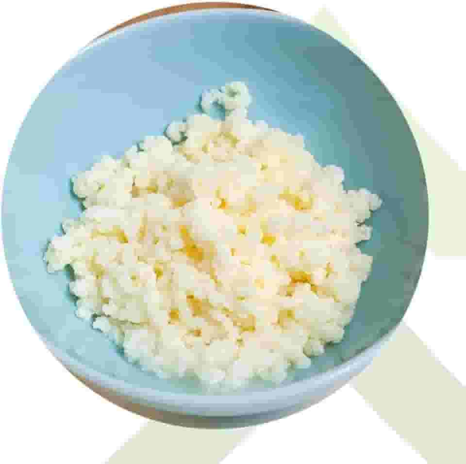 2x Kefir de Leite Bichinho Do Iogurte Mudas De Kefir Em Grãos De Leite Real