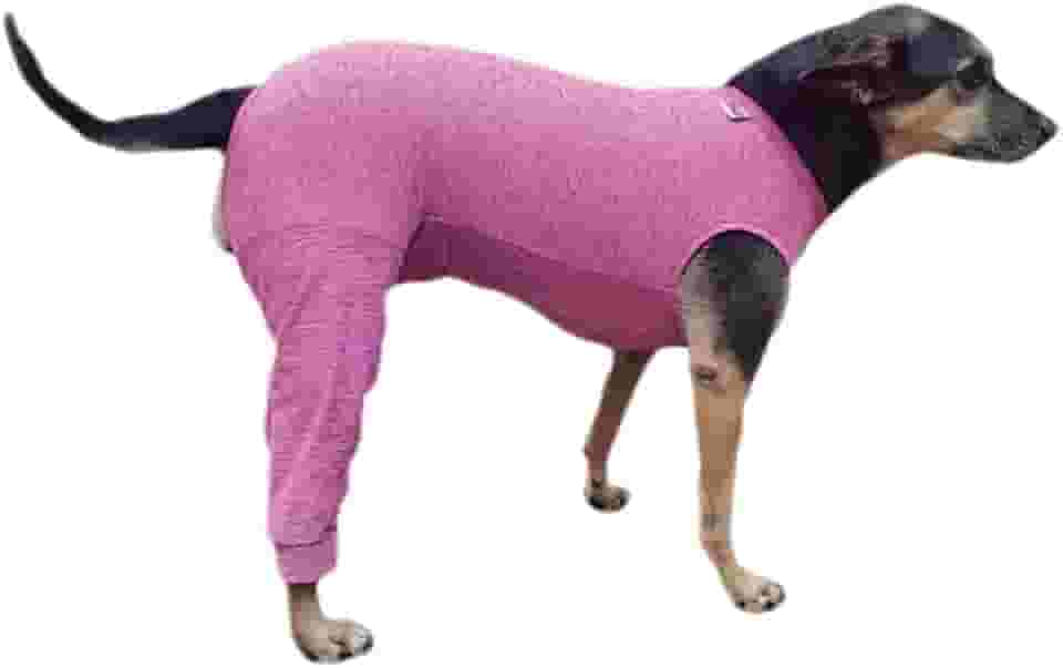 Roupa Protetora Pós Cirúrgica Pet Para Cachorro Membros Posteriores Pernas Traseiras Proteção Solar UV 50+ (Rosa, 10)