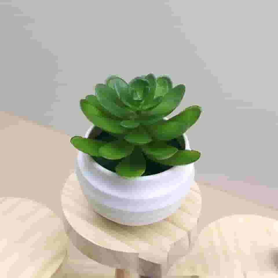 Plantas suculentas artificiais em vasos, pequenas plantas falsas para quarto, estética, sala de estar, escritório, decoração de banheiro (verde)