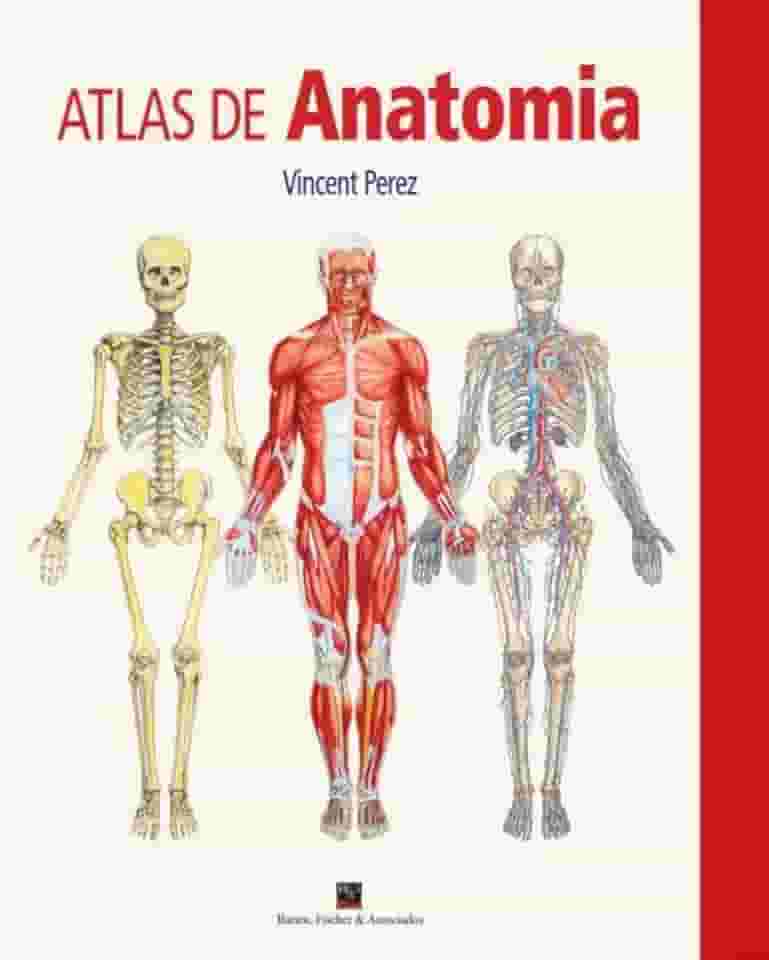 Atlas de Anatomia