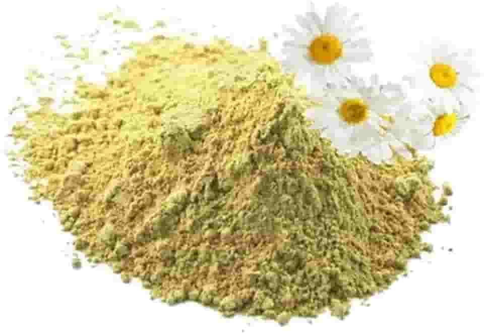 Chá Camomila Flores em Pó (Matricaria recutita) 100g com Laudo