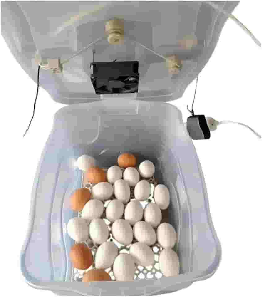 Chocadeira Pet Para 30 Ovos De Galinha ou 90 De Codorna Com Termostato Resistência E Cooler