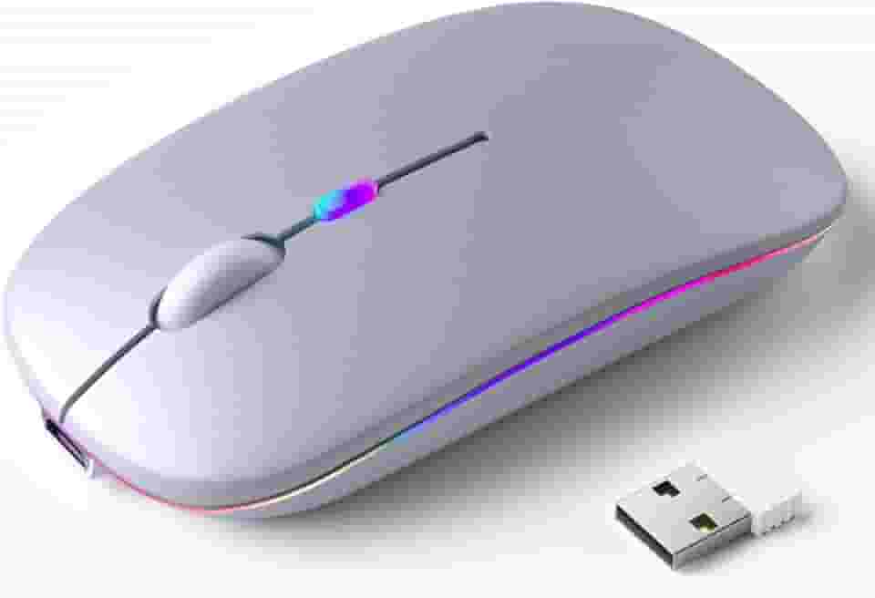 Mouse Sem Fio Recarregável, Ergonômico, com Led RGB, Conexão Dual Bluetooth 5.0/USB 2.4GHz, DPI Ajustável, perfeito para Notebook, Laptop,PC, Desktop, Silencioso (Prata)