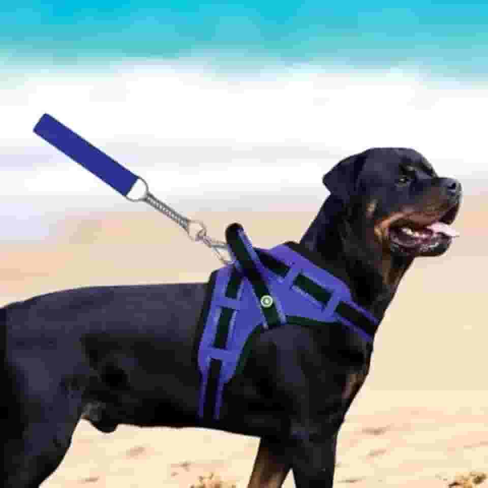 Coleira Peitoral Guia com Amortecedor Peiteira Para Cachorros Fortes(ONÇA,PP)