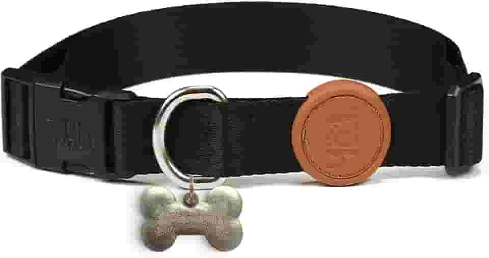Toh Coleira Avulsa Com Tag Id Preto M