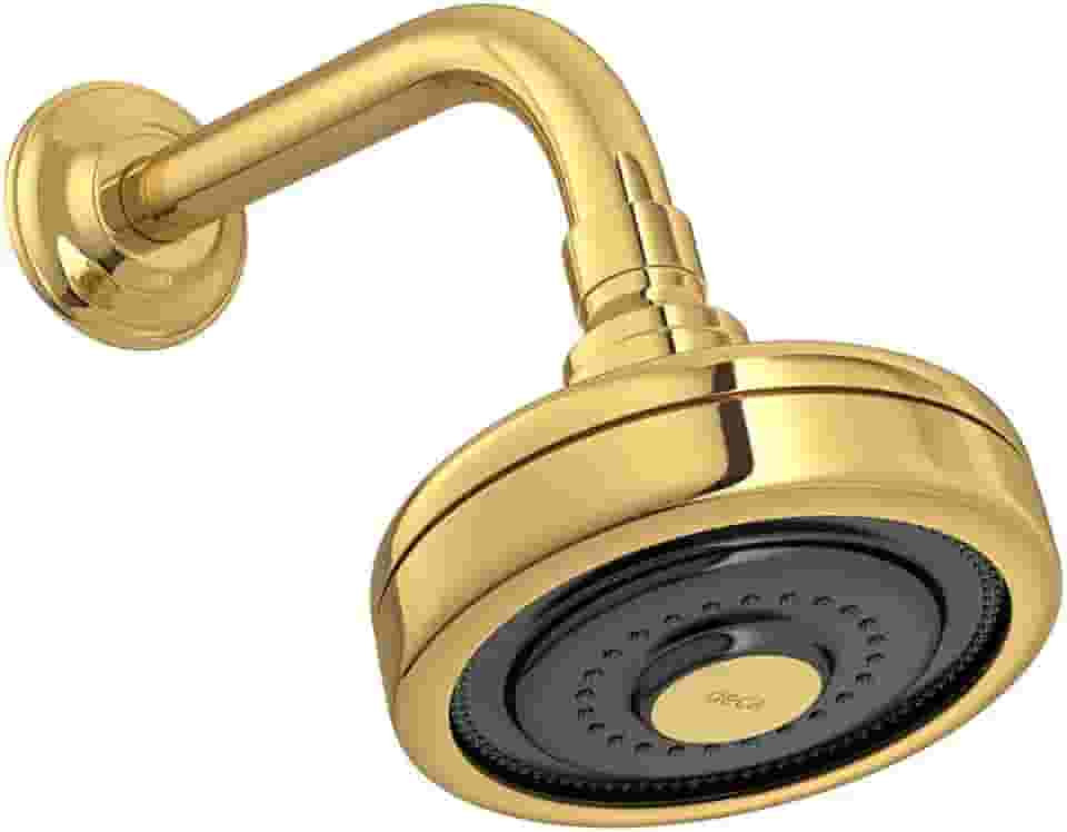 Deca Ducha Redonda de Parede Gold Acqua Plus