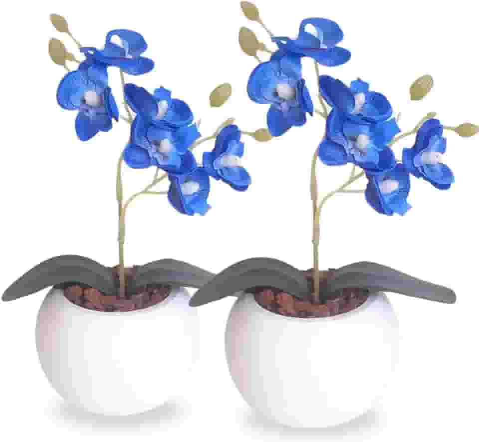 Kit 2 Mini Orquídea Com Vaso de Gesso e Cascas de Pinus Natural(Azul)