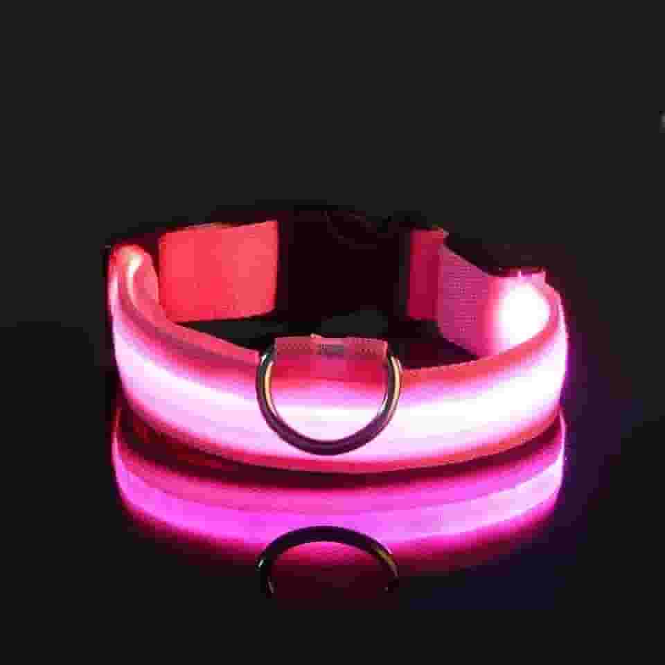 Coleira LED para Cães Recarregável por USB – Ajustável, Visível à Noite, Alta Segurança para Passeios (Rosa, G)