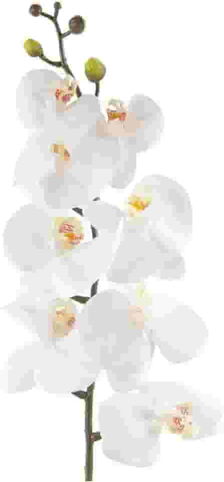 Orquídea Branca Artificial Grande para Arranjo