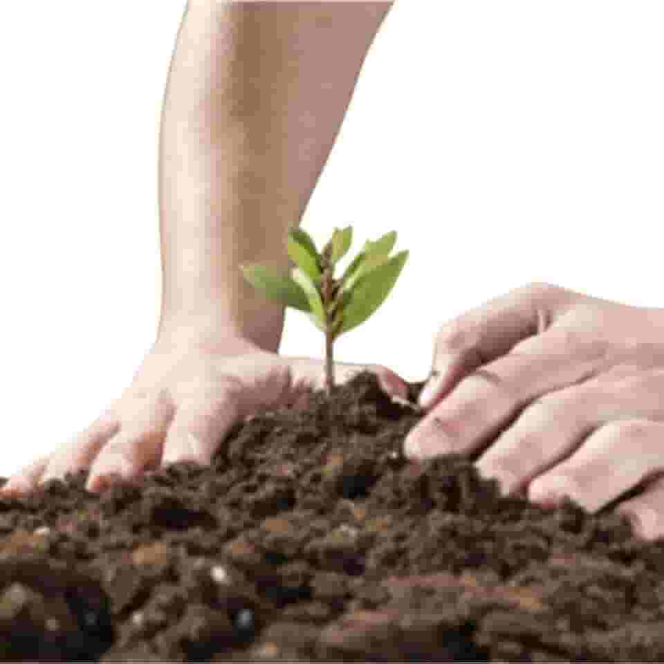 10 kg Terra Adubada para Plantas, Substrato Fértil para Jardinagem