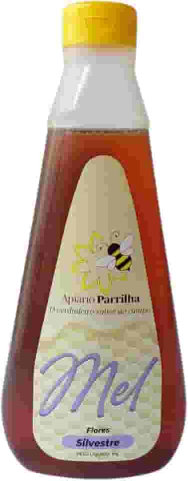 Mel Líquido de Abelha Silvestre Puro 100% Natural - Bisnaga 1Kg