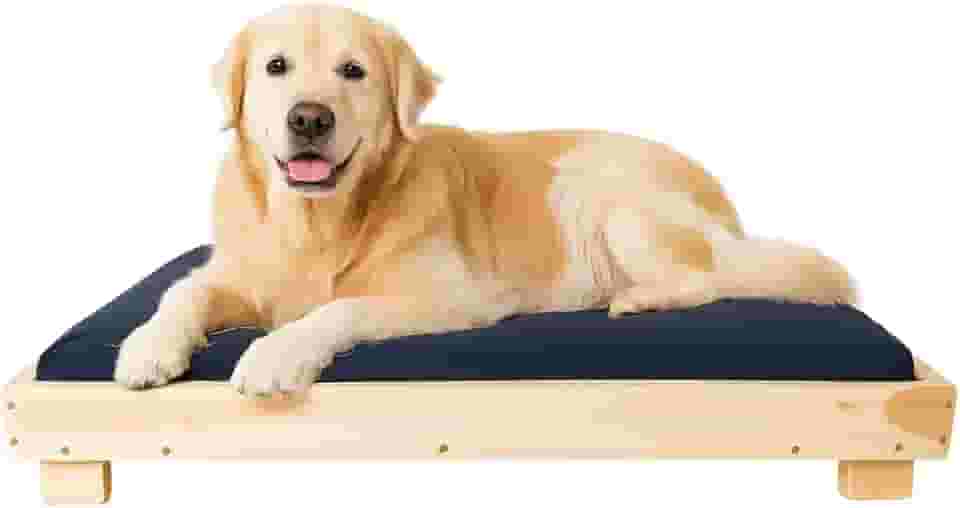 Cama Caminha para Pet Cachorro Gato Grande 90x70 com Colchão Macio e Durável, Em Madeira Resistente