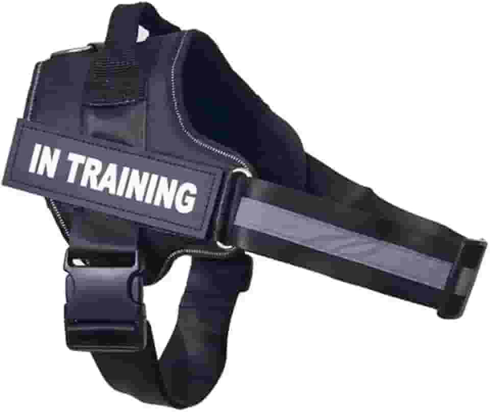 Coleira Personalizada Com Nome Telefone Para Cachorro Cães Pet Peitoral Colete Identificação (Preto, P)