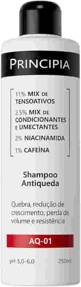 SHAMPOO ANTIQUEDA PRINCIPIA