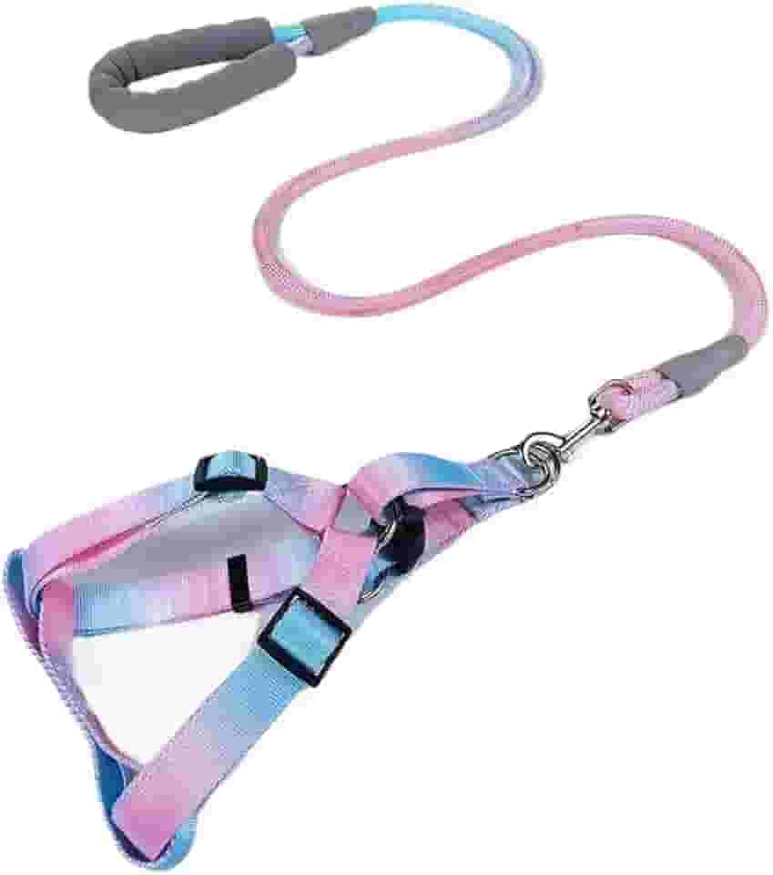 Coleira e Guia com Amortecedor e Pegador Peitoral Ajustável Para Pets Cachorros Colorido(Azul Rosa,XS)